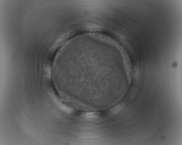 X0000112160622200908281405