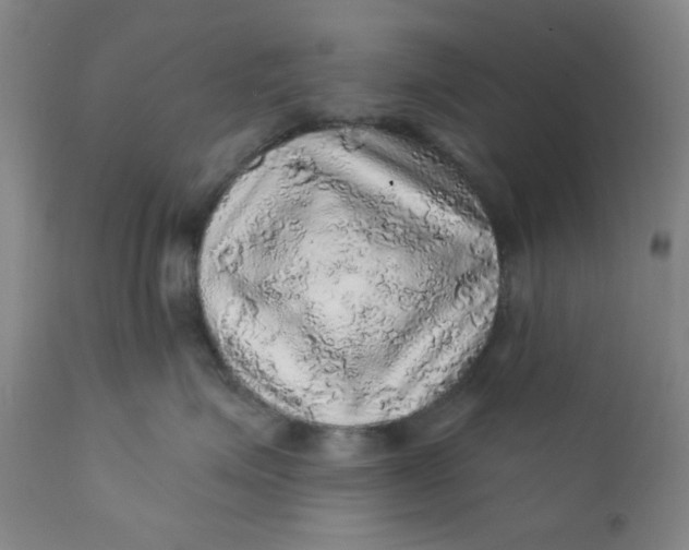 X0000112160623200908281405