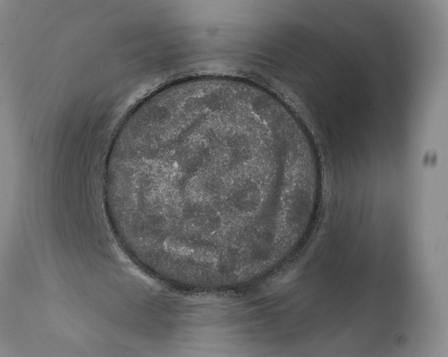 X0000112160625200908281405