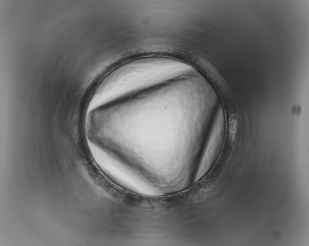 X0000112160627200908281405