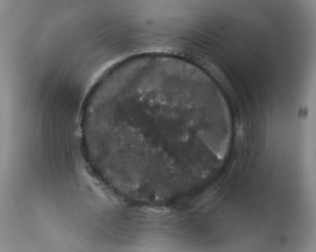 X0000112160628200908281405