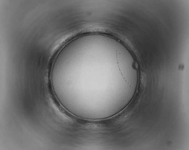 X0000112160629200908281405