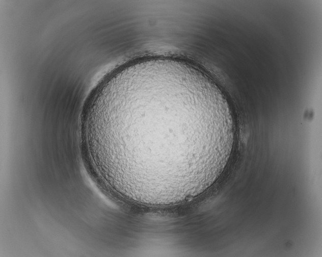 X0000112160630200908281405