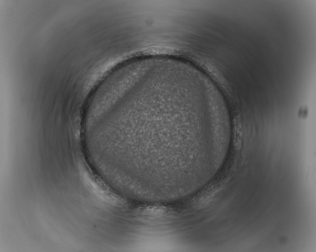 X0000112160631200908281405