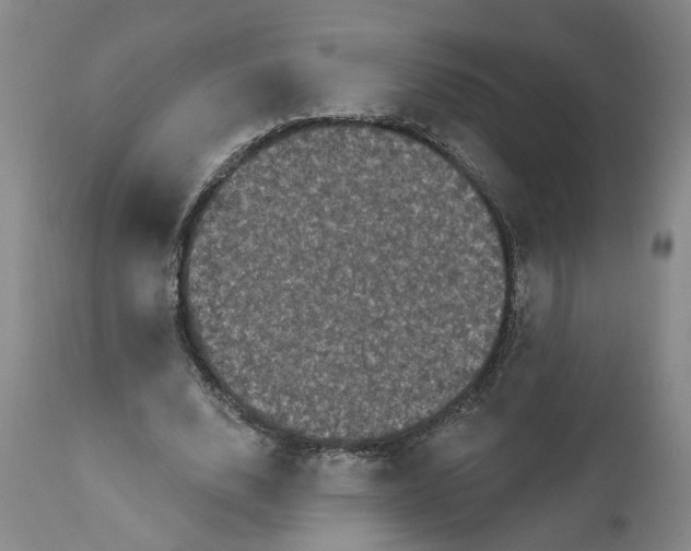 X0000112160632200908281405