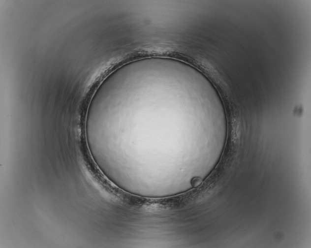 X0000112160634200908281405