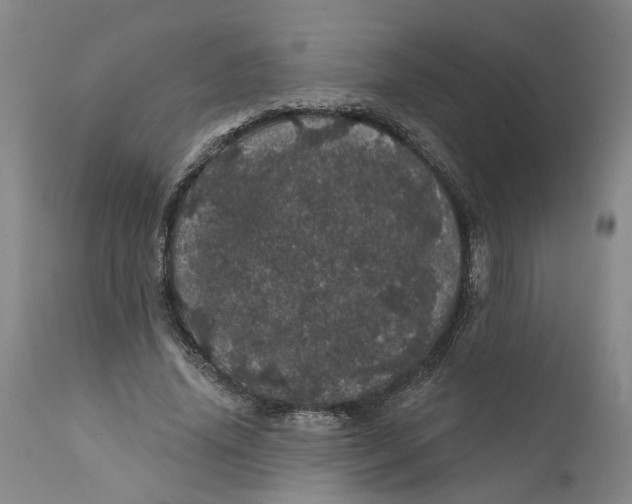 X0000112160636200908281405