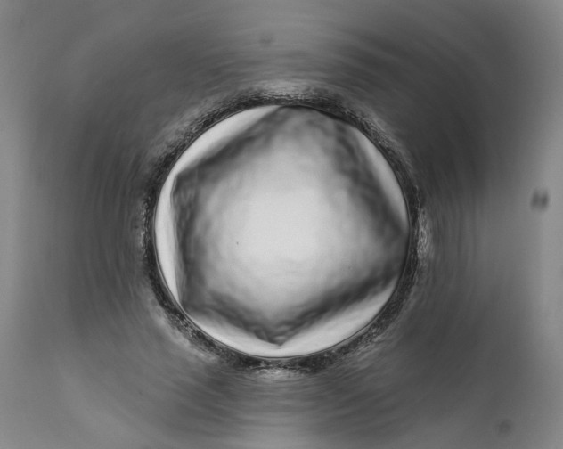 X0000112160637200908281405