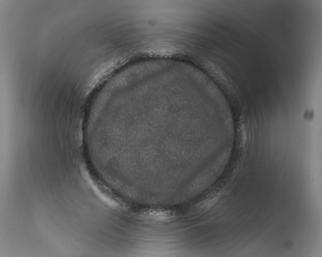 X0000112160638200908281405