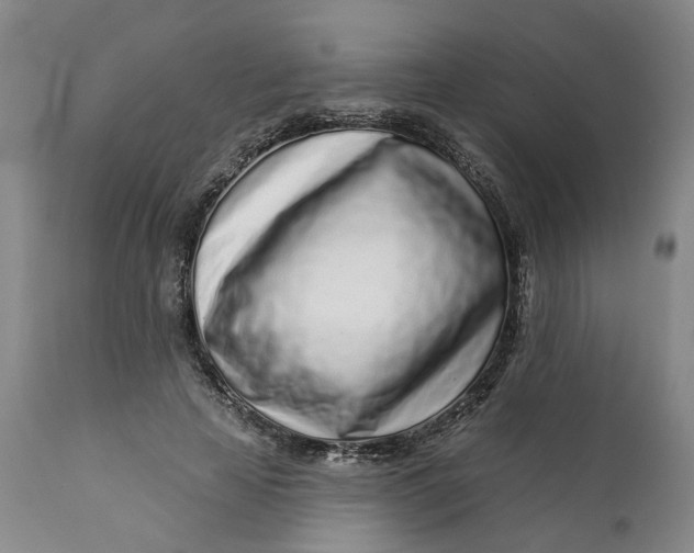 X0000112160641200908281405