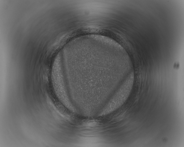 X0000112160643200908281405