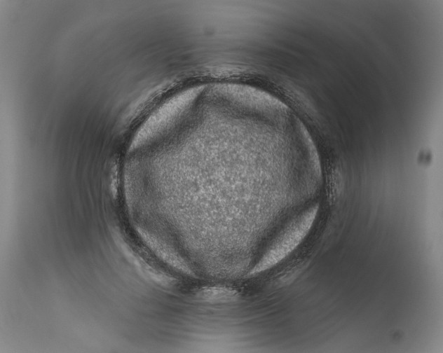 X0000112160644200908281405