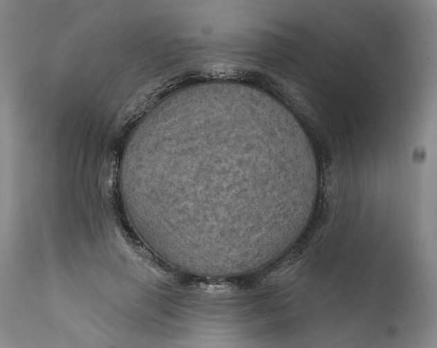 X0000112160645200908281405