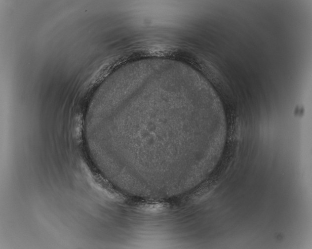 X0000112160646200908281405