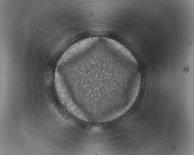 X0000112160647200908281405