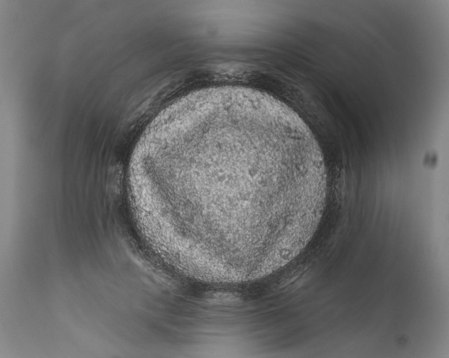 X0000112160649200908281405