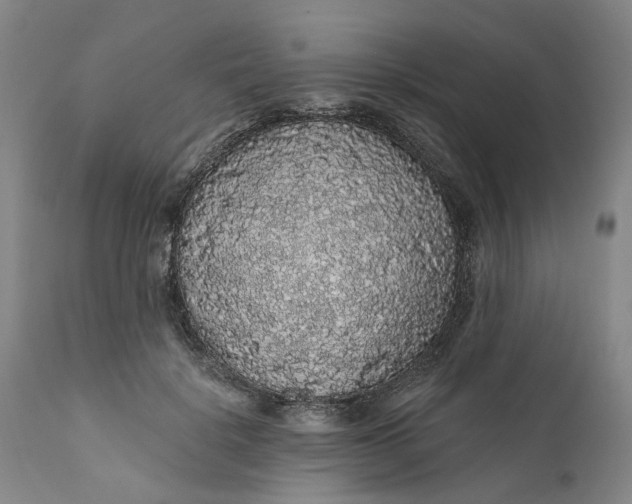 X0000112160652200908281405