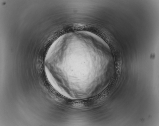 X0000112160653200908281405