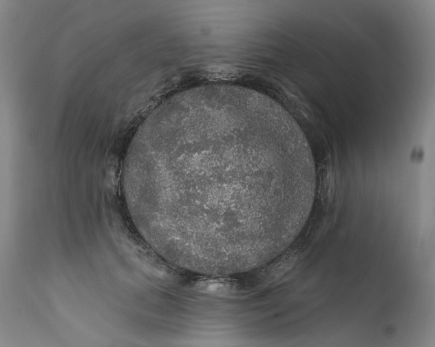 X0000112160655200908281405