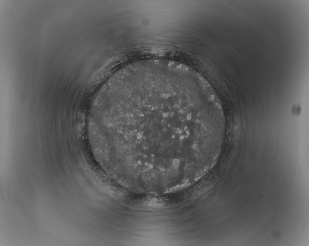 X0000112160656200908281405