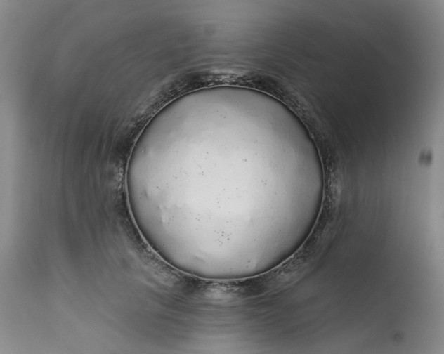 X0000112160657200908281405