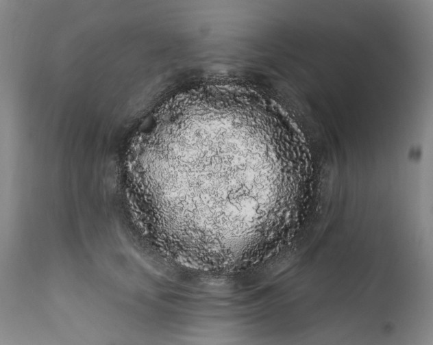 X0000112160659200908281405