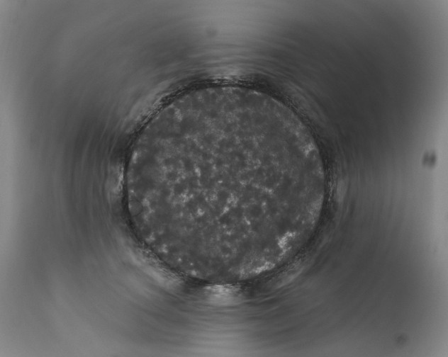 X0000112160660200908281405