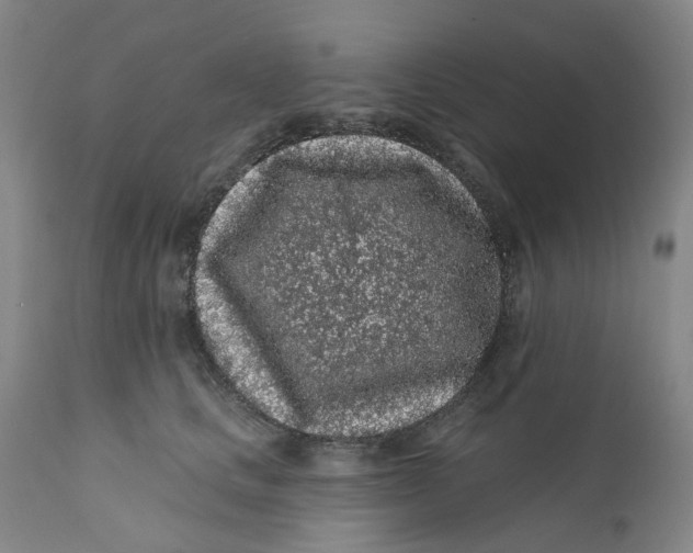 X0000112160661200908281405