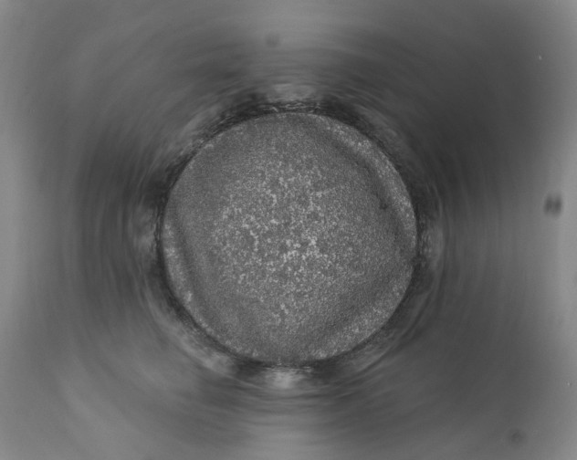 X0000112160662200908281405