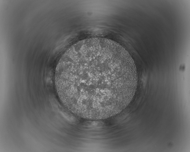 X0000112160663200908281405