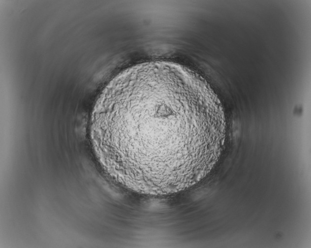 X0000112160664200908281405