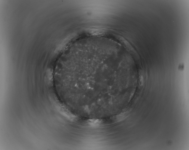 X0000112160667200908281405