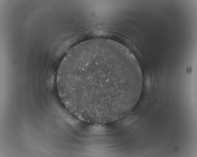 X0000112160668200908281405