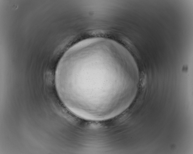 X0000112160669200908281405