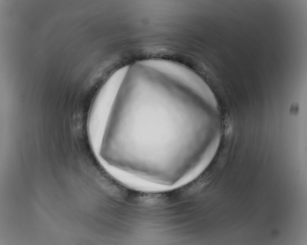 X0000112160670200908281405