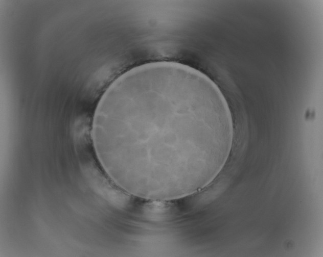 X0000112160672200908281405