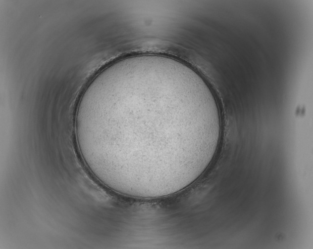 X0000112160673200908281404