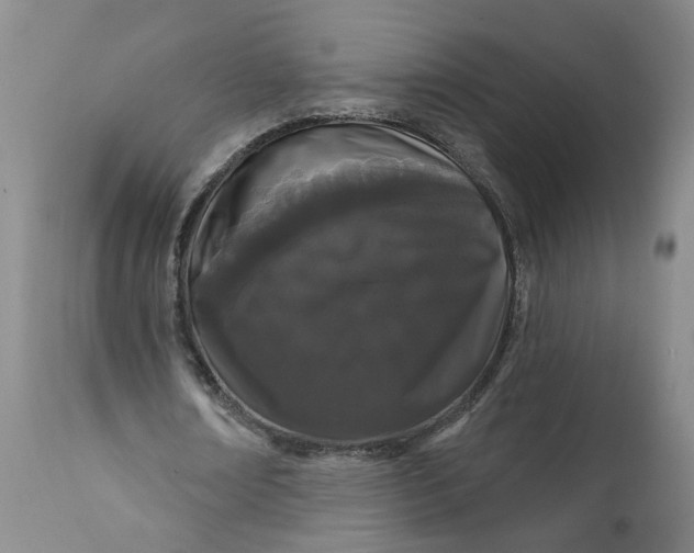 X0000112160674200908281404