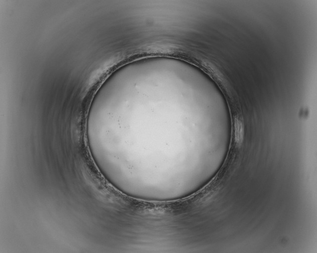 X0000112160675200908281404