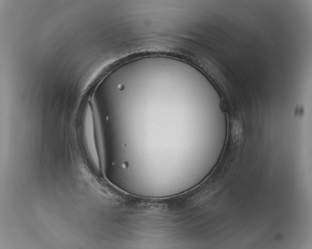 X0000112160676200908281404