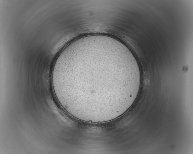 X0000112160677200908281404