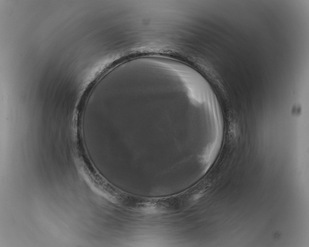 X0000112160678200908281404