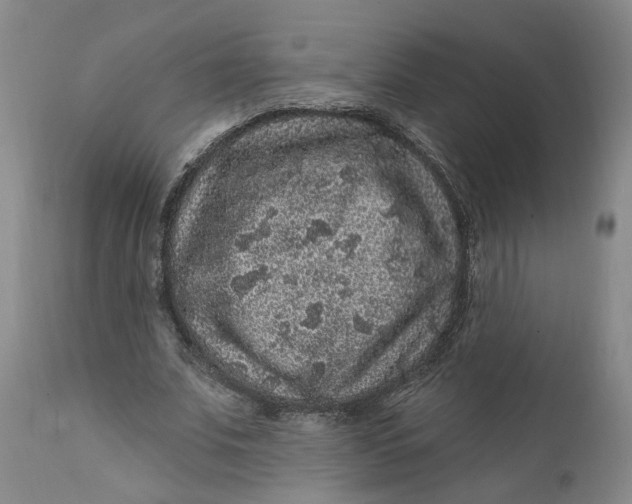 X0000112160679200908281404