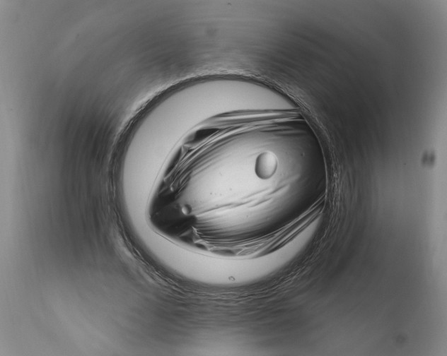 X0000112160680200908281404