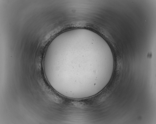 X0000112160681200908281404