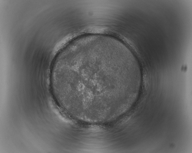 X0000112160682200908281404