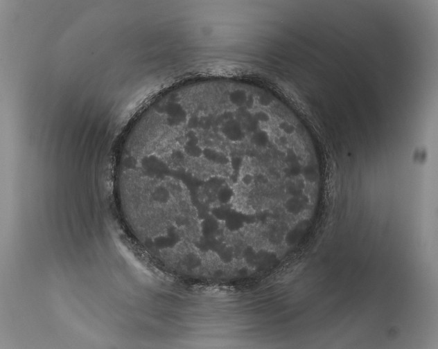 X0000112160683200908281404