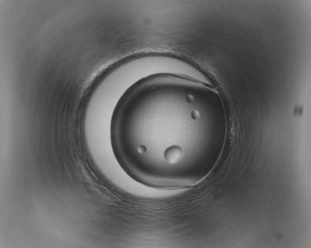 X0000112160684200908281404