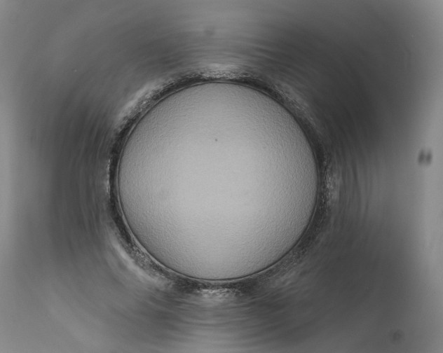 X0000112160686200908281404