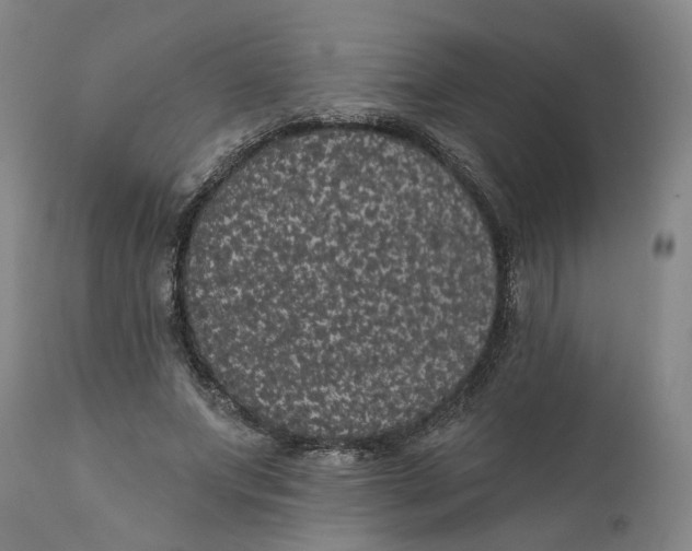 X0000112160687200908281404